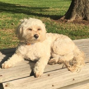 Meet your Posher, Mckenzie